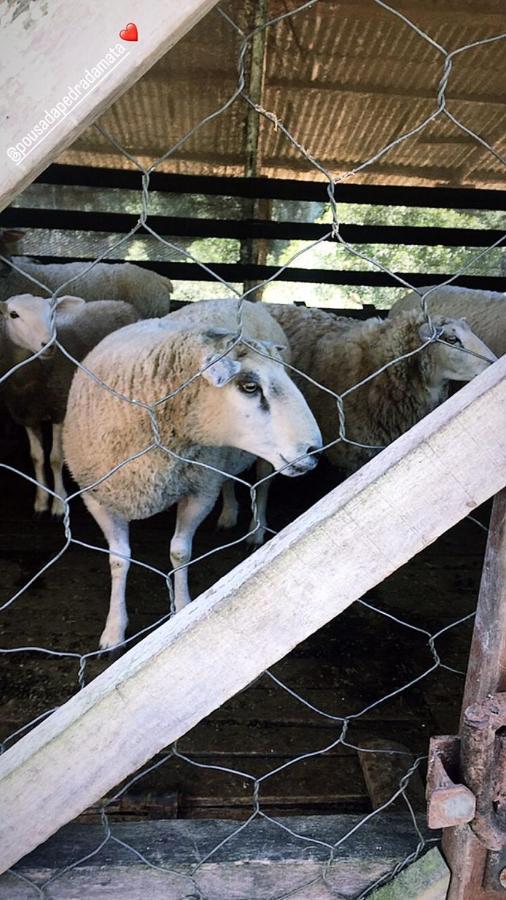 Pousada Pedra Da Mata Chales Na Montanha Munhoz Eksteriør billede