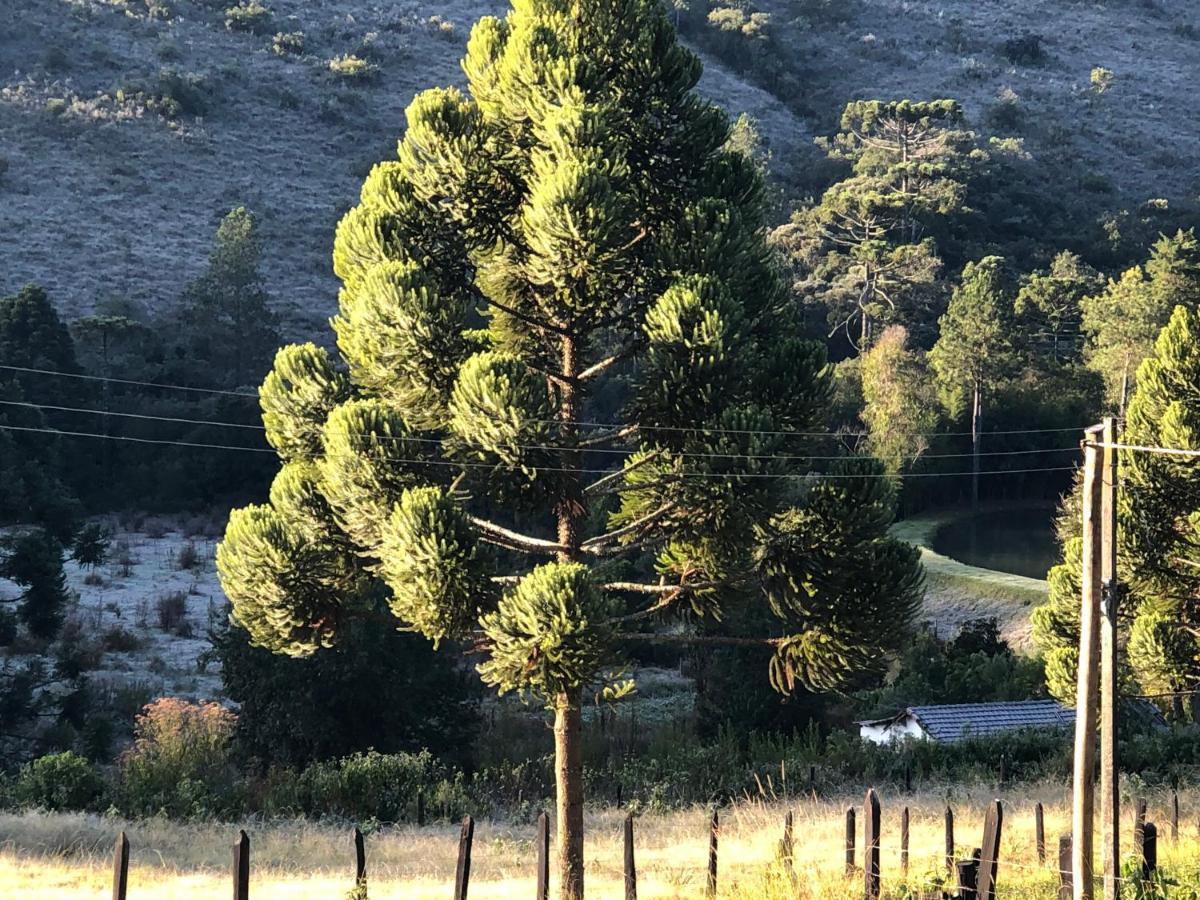 Pousada Pedra Da Mata Chales Na Montanha Munhoz Eksteriør billede