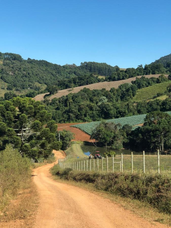 Pousada Pedra Da Mata Chales Na Montanha Munhoz Eksteriør billede