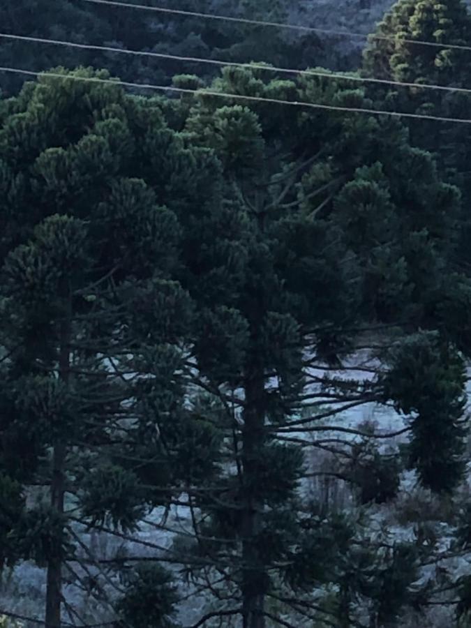 Pousada Pedra Da Mata Chales Na Montanha Munhoz Eksteriør billede